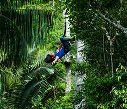 Zipline in the jungle of Madre de Dios